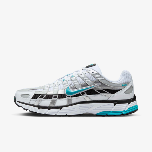 P-6000 Dusty Cactus