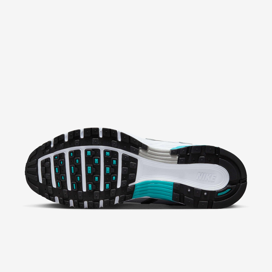 P-6000 Dusty Cactus