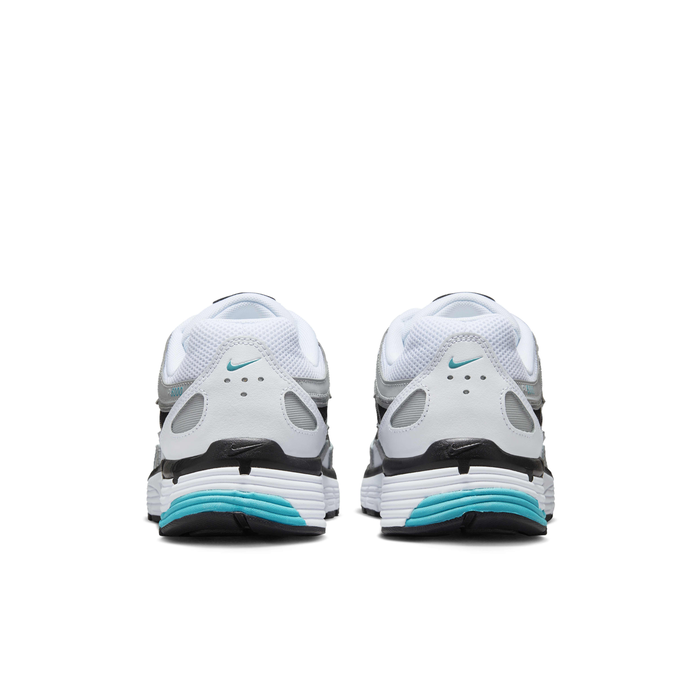 P-6000 Dusty Cactus